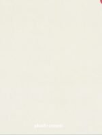 Color and Fabric Sample - Image 10